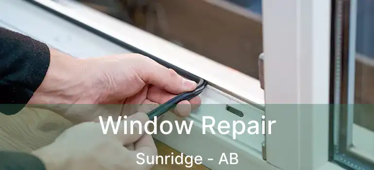 Window Repair Sunridge - AB