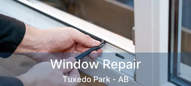 Window Repair Tuxedo Park - AB