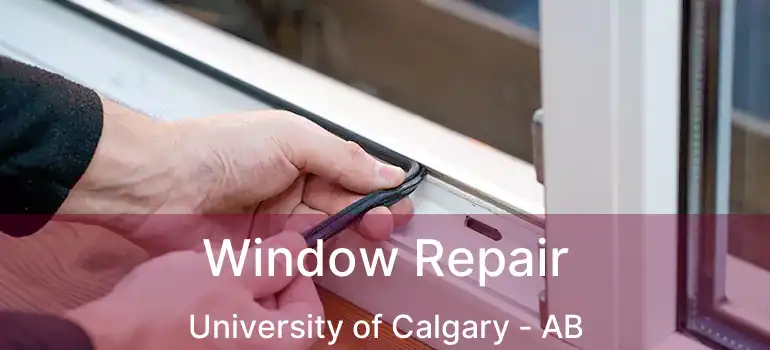  Window Repair University of Calgary - AB