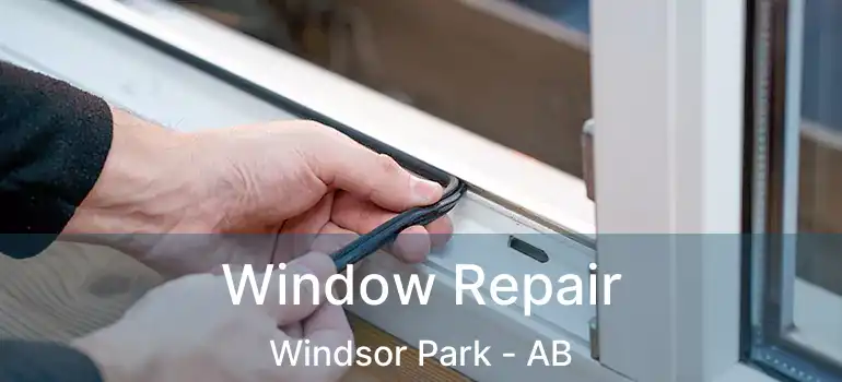  Window Repair Windsor Park - AB