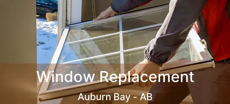  Window Replacement Auburn Bay - AB