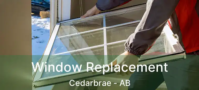  Window Replacement Cedarbrae - AB