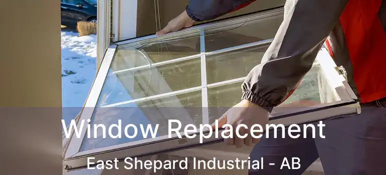  Window Replacement East Shepard Industrial - AB