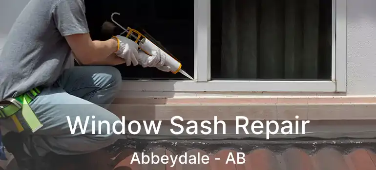  Window Sash Repair Abbeydale - AB