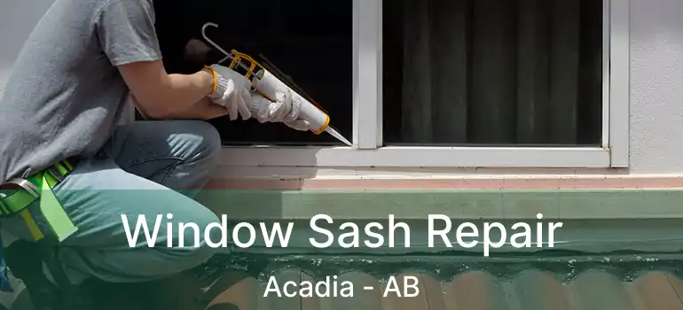 Window Sash Repair Acadia - AB