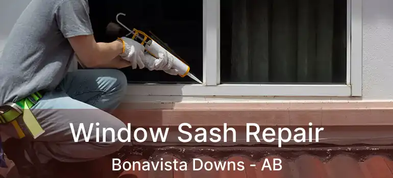  Window Sash Repair Bonavista Downs - AB