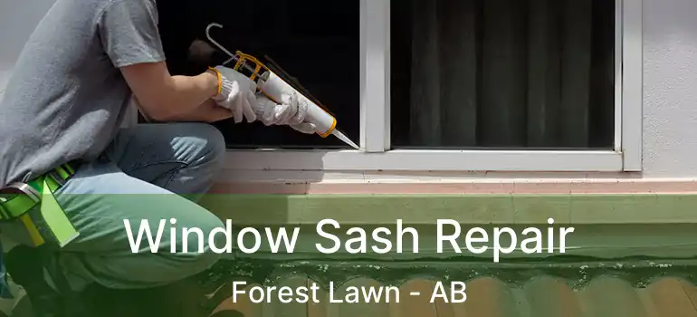  Window Sash Repair Forest Lawn - AB
