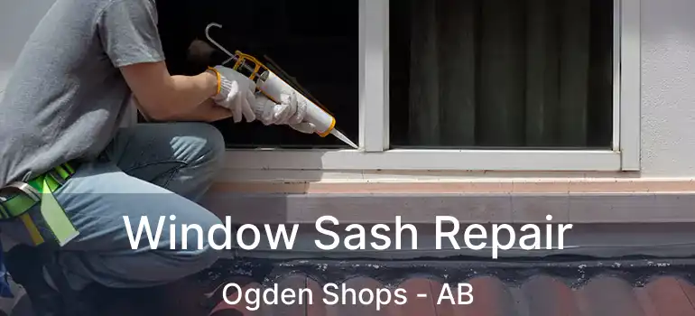  Window Sash Repair Ogden Shops - AB