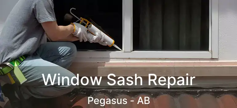  Window Sash Repair Pegasus - AB