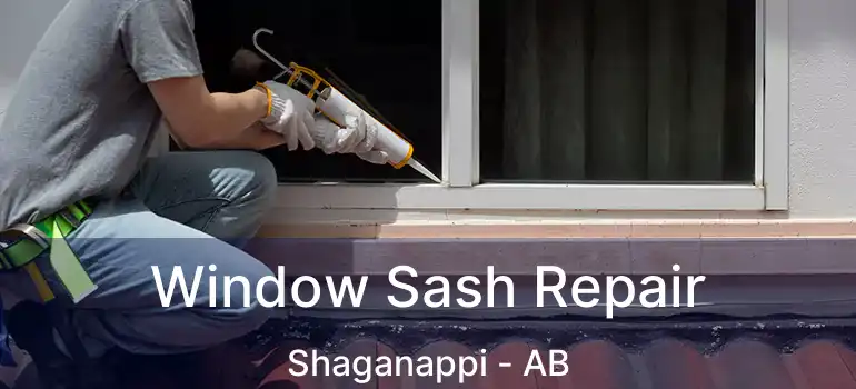  Window Sash Repair Shaganappi - AB