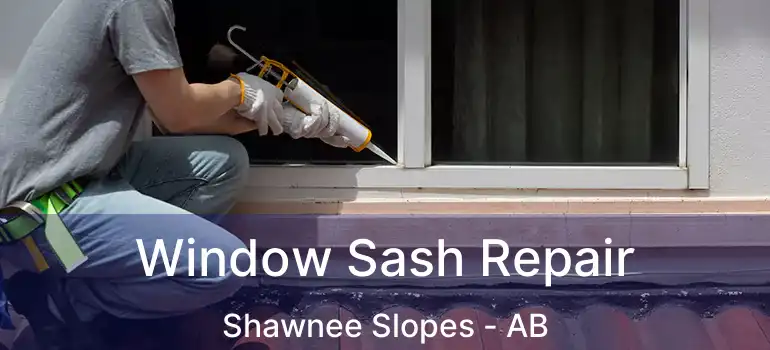  Window Sash Repair Shawnee Slopes - AB
