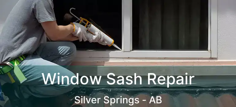  Window Sash Repair Silver Springs - AB