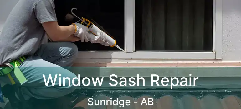  Window Sash Repair Sunridge - AB