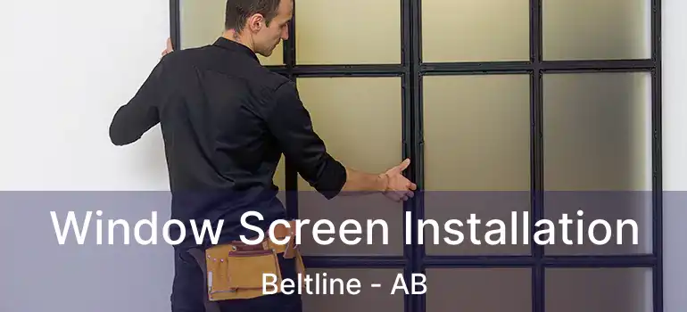  Window Screen Installation Beltline - AB