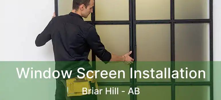  Window Screen Installation Briar Hill - AB