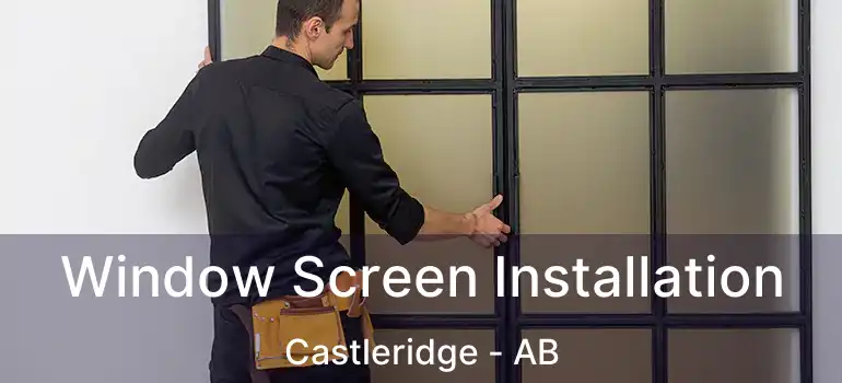  Window Screen Installation Castleridge - AB
