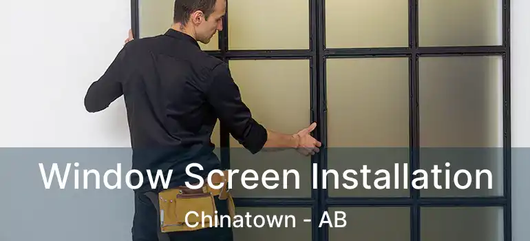  Window Screen Installation Chinatown - AB