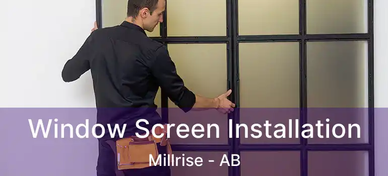  Window Screen Installation Millrise - AB