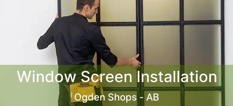 Window Screen Installation Ogden Shops - AB