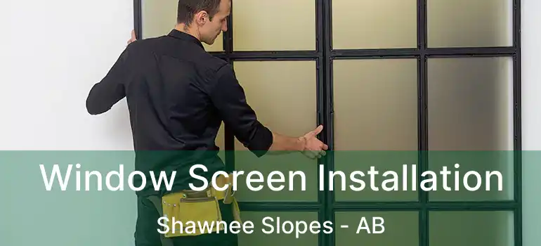  Window Screen Installation Shawnee Slopes - AB