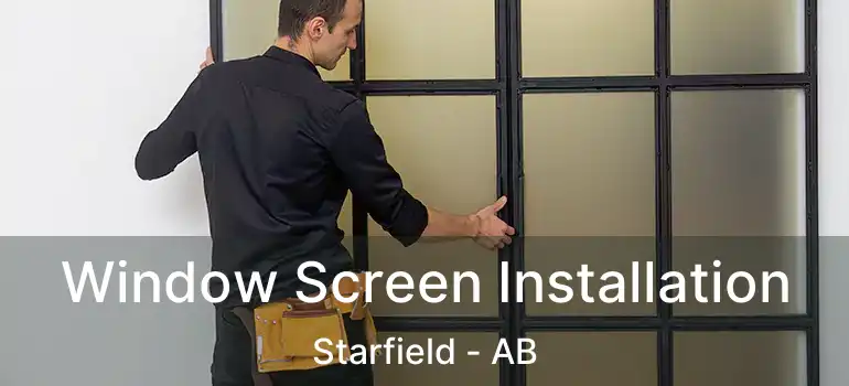  Window Screen Installation Starfield - AB