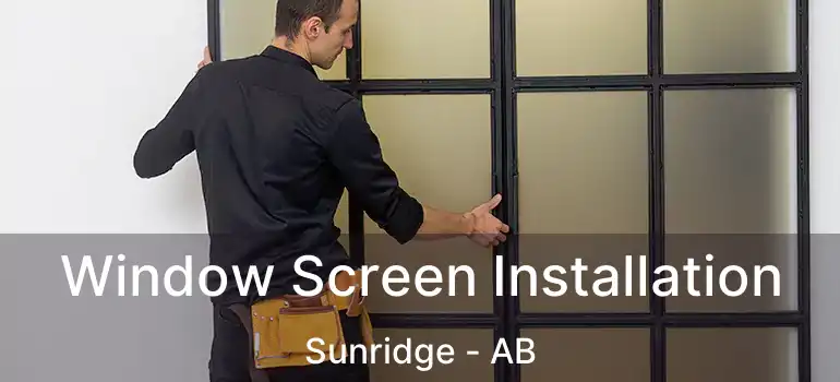  Window Screen Installation Sunridge - AB
