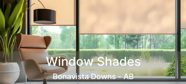  Window Shades Bonavista Downs - AB