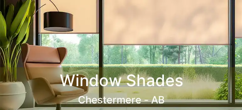  Window Shades Chestermere - AB
