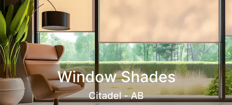  Window Shades Citadel - AB