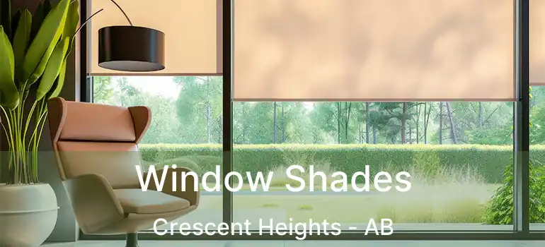  Window Shades Crescent Heights - AB