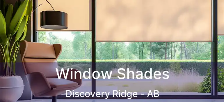  Window Shades Discovery Ridge - AB