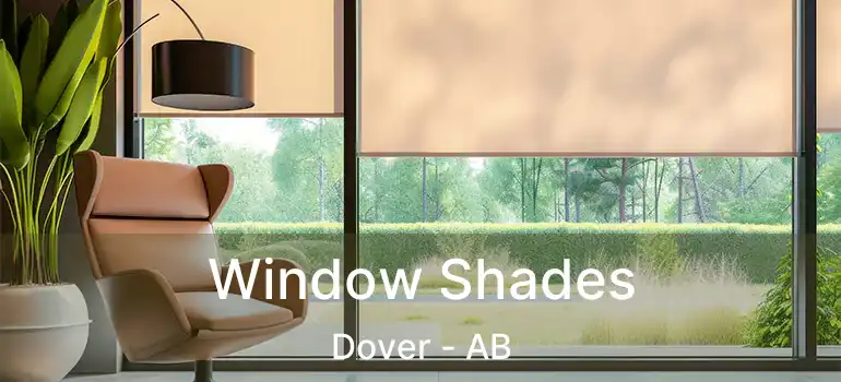  Window Shades Dover - AB