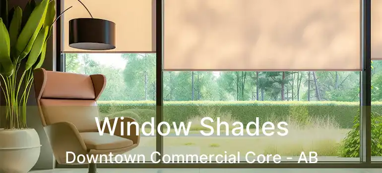  Window Shades Downtown Commercial Core - AB