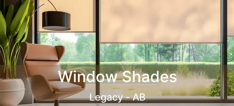  Window Shades Legacy - AB