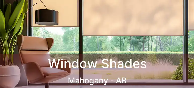  Window Shades Mahogany - AB