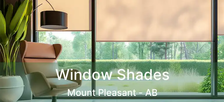  Window Shades Mount Pleasant - AB