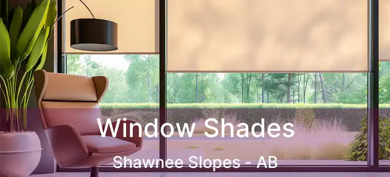  Window Shades Shawnee Slopes - AB