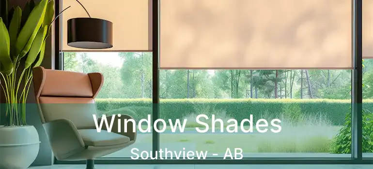  Window Shades Southview - AB