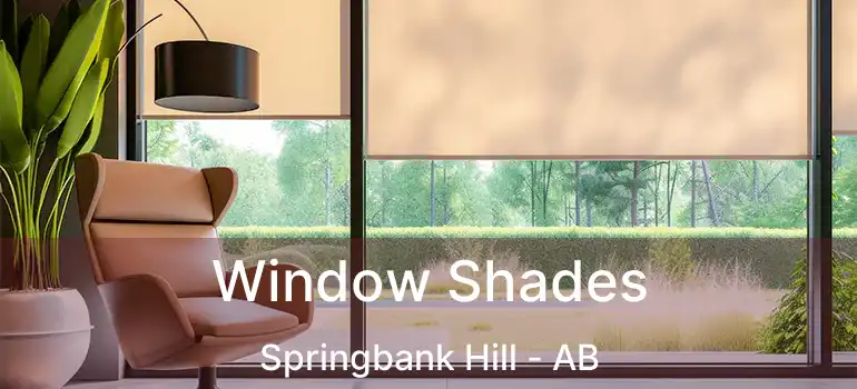  Window Shades Springbank Hill - AB