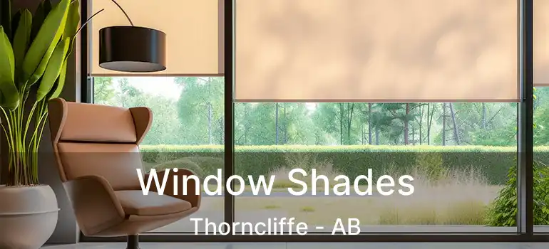  Window Shades Thorncliffe - AB