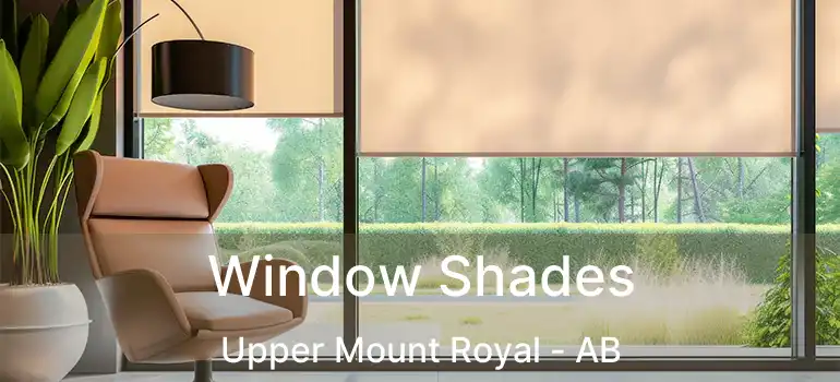  Window Shades Upper Mount Royal - AB