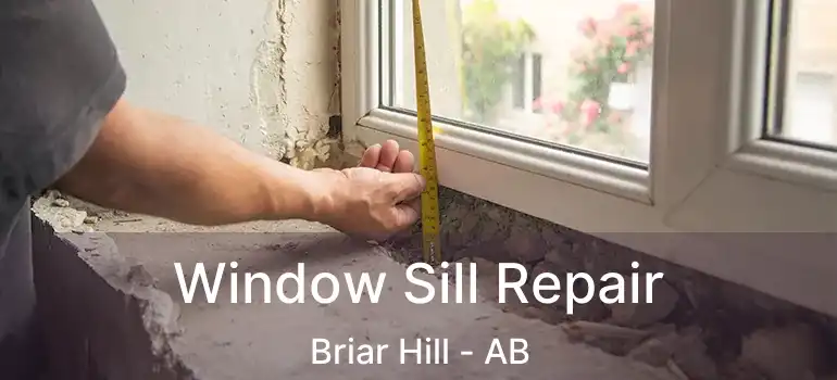  Window Sill Repair Briar Hill - AB
