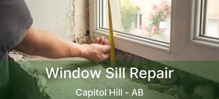  Window Sill Repair Capitol Hill - AB