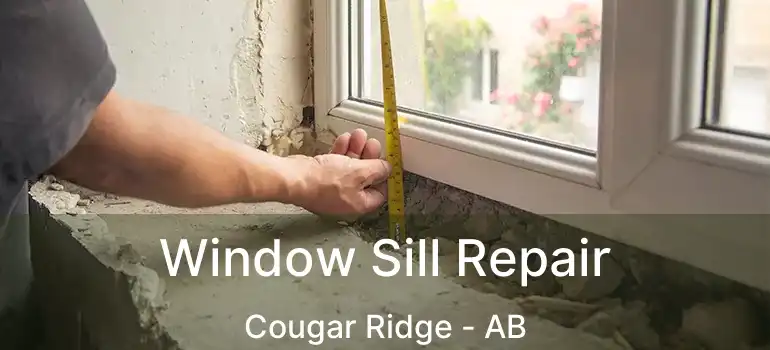  Window Sill Repair Cougar Ridge - AB