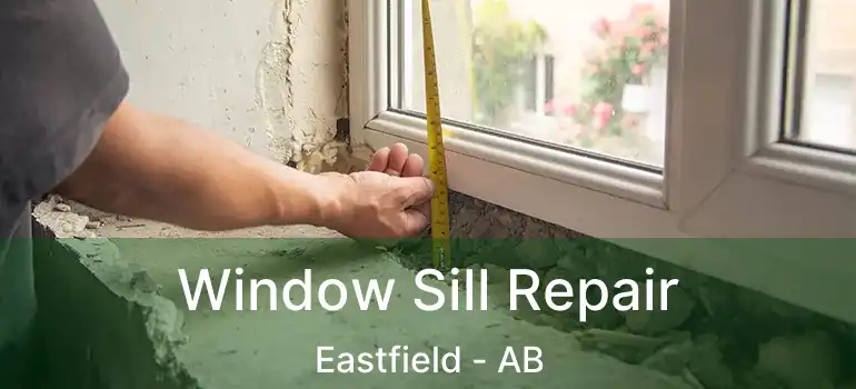  Window Sill Repair Eastfield - AB