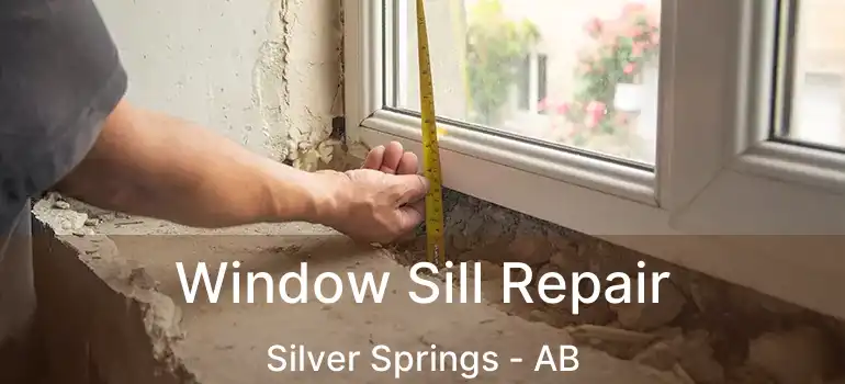  Window Sill Repair Silver Springs - AB