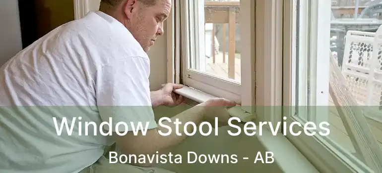  Window Stool Services Bonavista Downs - AB
