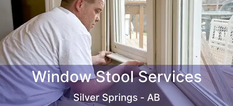  Window Stool Services Silver Springs - AB