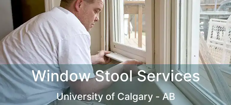  Window Stool Services University of Calgary - AB