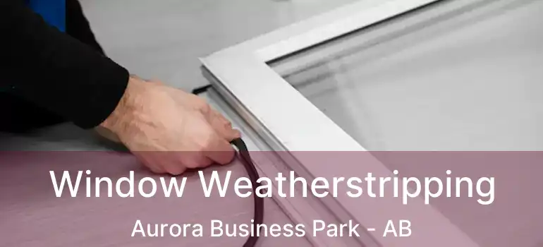  Window Weatherstripping Aurora Business Park - AB